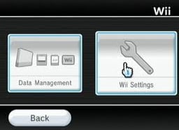 Wii iPlayer